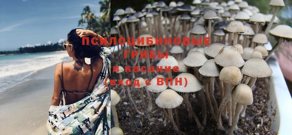 каннабис Инта
